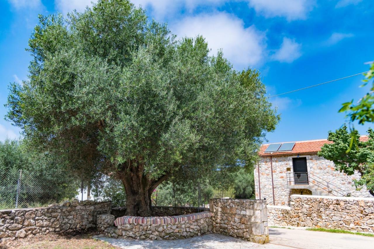 Private Villa Demetra 1768 With Pool - Close To Fiskardo Exterior photo